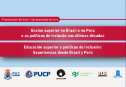 Políticas de inclusión Brasil y Perú